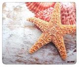 Acme MEGPCS egérpad tengeri csillag és kagylók képével 